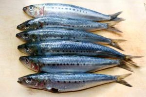 Sardines - Exotic Healthy Foods