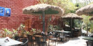 coconut_grove | Kerala restaurants in Bangalore