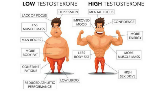 testosterone-what-is-it-benefits-of-high-testosterone-levels